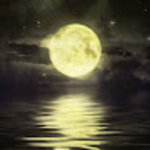 Meet your Posher, Natalia